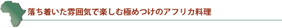 落ち着いた雰囲気で楽しむ極めつけのアフリカ料理